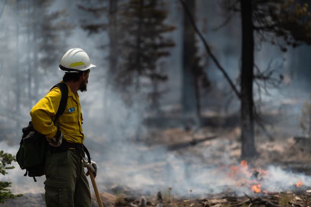 Fire Information Officer Jacob Welsh observes smoldering trees on the northern front of the Bootleg Fire on July 23 near Silver Creek, Oregon. (Photo: Mathieu Lewis-Rolland via Getty Images)