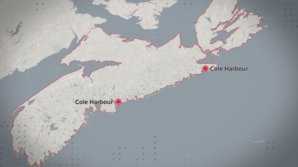 There are two Cole Harbours in Nova Scotia, one in Halifax County and the other one in Guysborough County. They located roughly 300 kilometres away from each other by car.