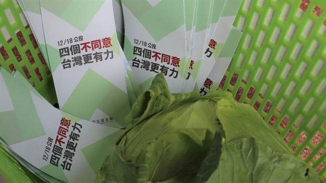 民進黨台南市黨部29日啟動掃街戰，邀請各區的菜籃族志工媽媽，深入基層。（張毓翎攝）