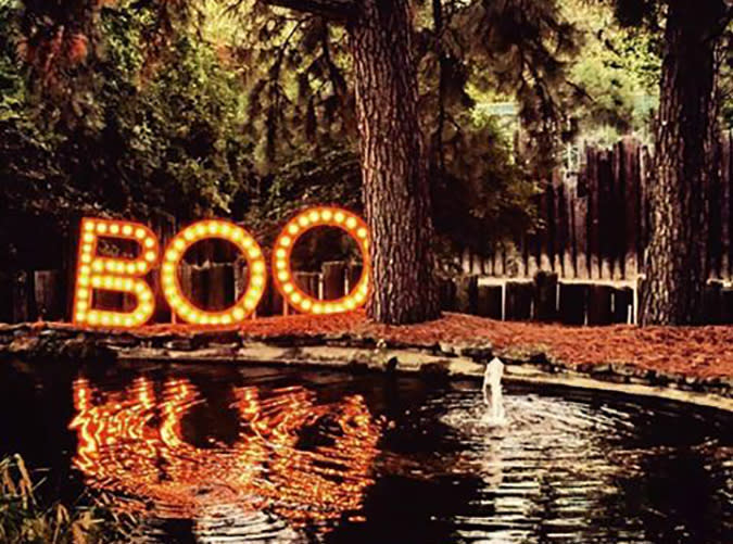 Arkansas: Boo at the Zoo, Little Rock