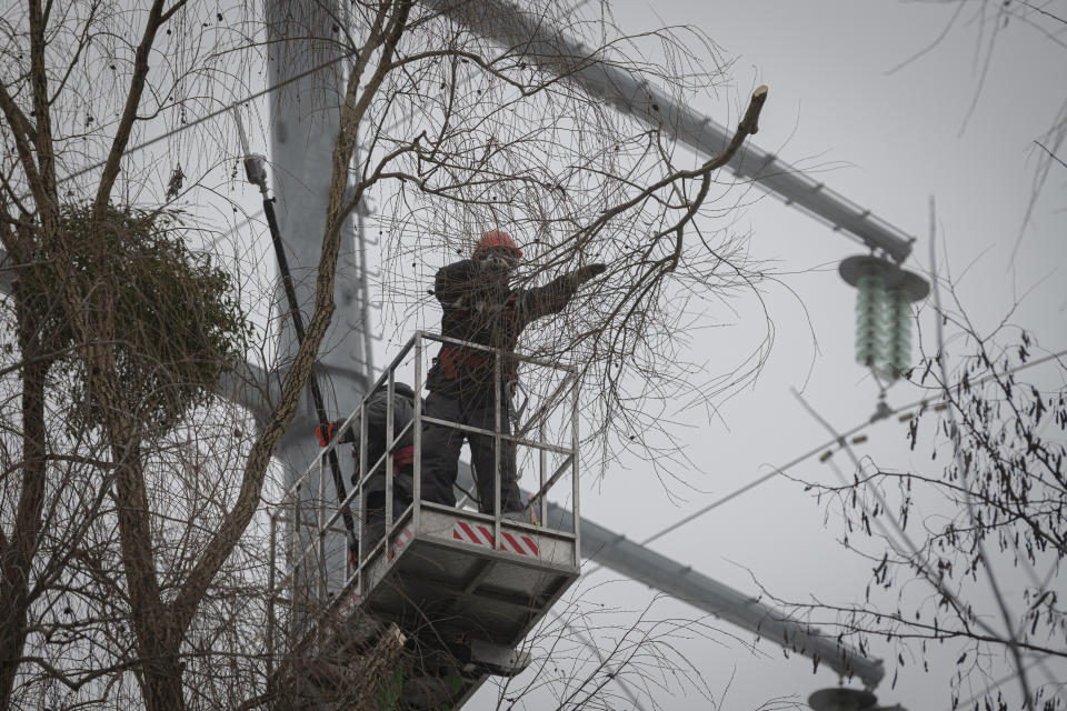 Workers of the electricity supply company DTEK maintain power lines by cutting off excess branches in Kyiv, Ukraine, Thursday, Dec. 8, 2022. Ukrainian utility crews struggling to patch up power lines during a two-month Russian military blitz targeting Ukrainian infrastructure are learning to adapt. And just as on the battlefield, Ukrainians are learning to respond quickly on the new energy front drawn inside homes, hospitals, offices, and schools in yet another act of defiance against a powerful invader. (AP Photo/Andrew Kravchenko)