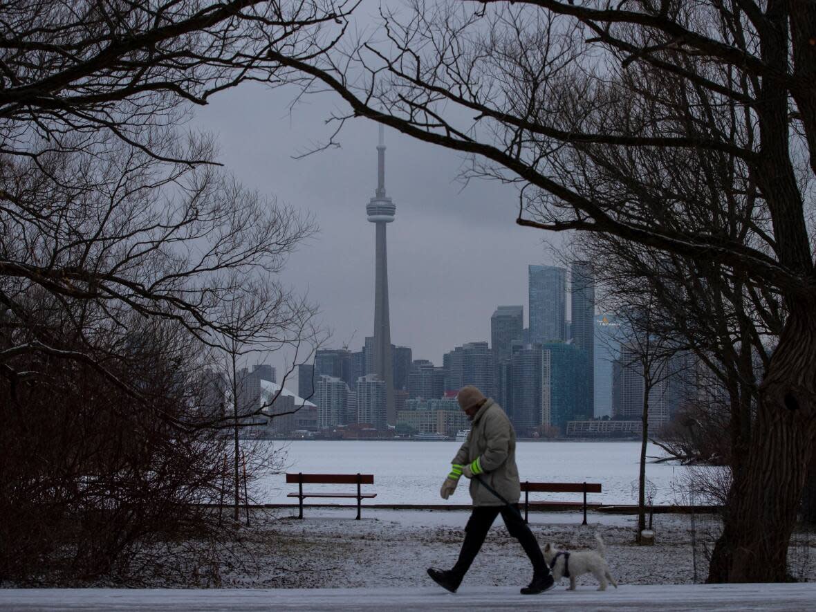 A man walks his dog on on Ward’s Island during an extreme cold snap on Jan. 11, 2022. Residents are being warned to bundle  as an extreme cold weather alert is issued for the city. (Evan Mitsui/CBC - image credit)