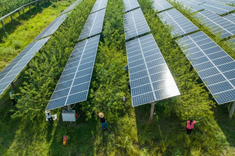 China baut einer Studie zufolge fast doppelt so viele Kapazitäten im Bereich der Wind- und Solarenergie auf wie alle anderen Länder zusammen. In der Volksrepublik befinden sich derzeit Anlagen mit einer Gesamtleistung von 339 Gigawatt Kapazität im Bau, wie die NGO Global Energy Monitor mitteilte. (STR)