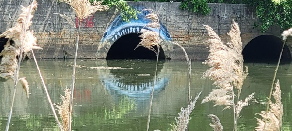 The Shark Tunnel, Matawan