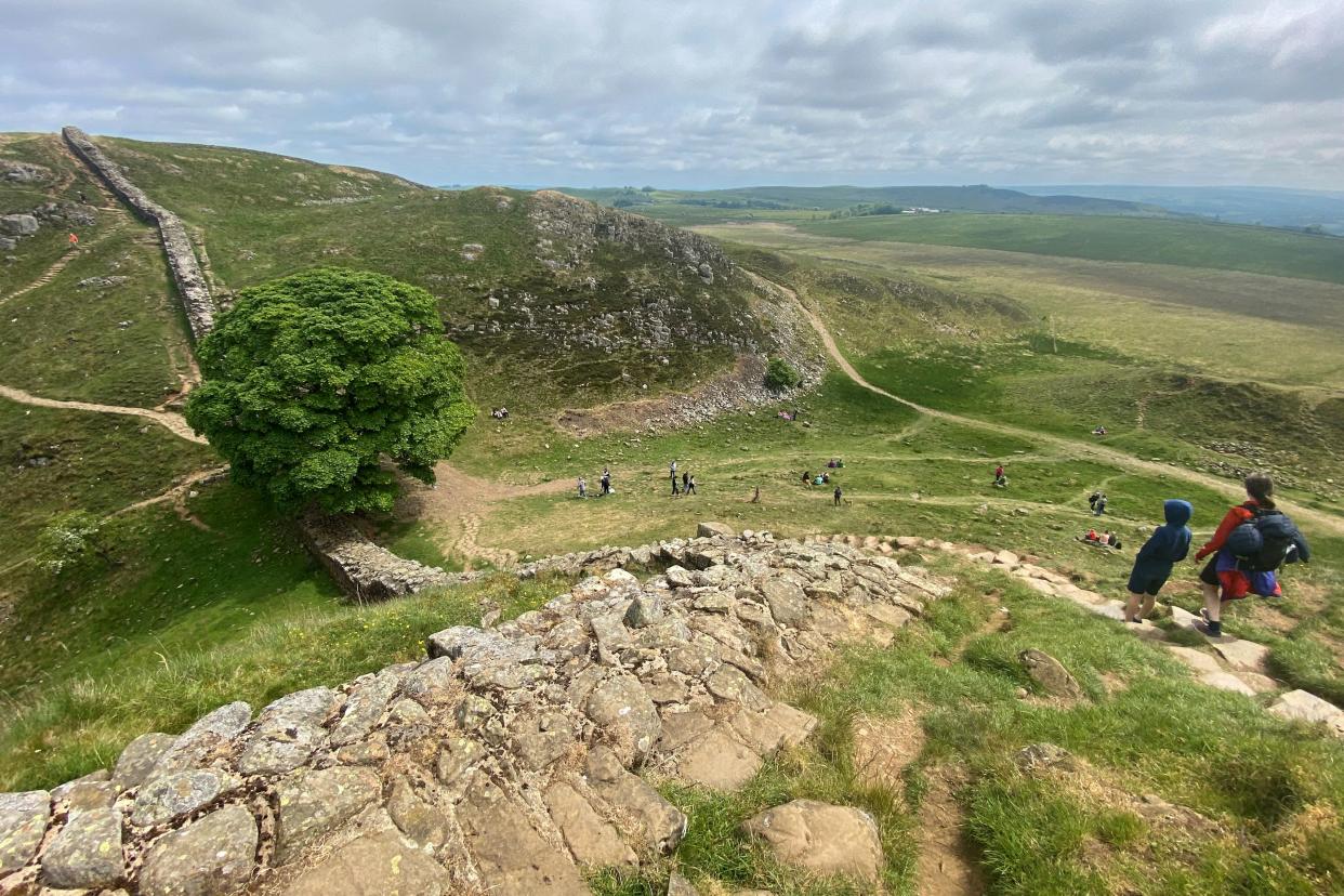 A picture taken on June 4, 2023 shows visitors hiking past the Sycamore Gap tree (AFP/Getty)