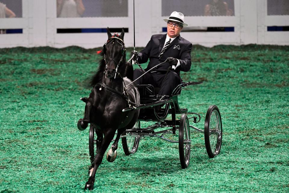 A horse and harness rider compete in the Harness Pony World Championships at the World's Championship Horse Show during the Kentucky State Fair, Saturday, Aug. 27 2022 in Louisville Ky.