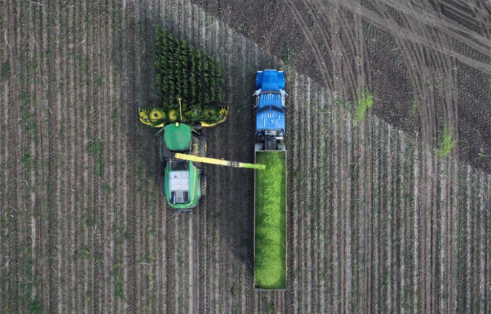 Corn is harvested on a farm east of Pueblo.