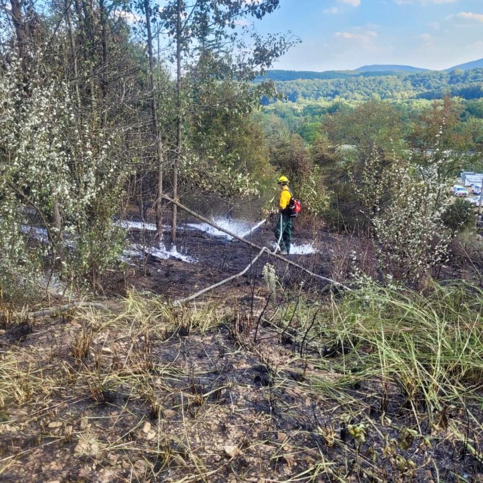 A firefighter hoses smoldering spots of a brush fire off Millstone Road southeast of Hancock on Wednesday. Among the almost 100 responders was the Frederick County (Md.) Wildland Team.