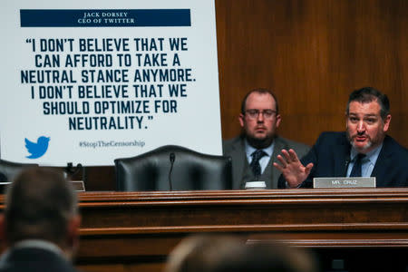 Senator Ted Cruz (R-TX) questions Facebook policy director Neil Potts before a Senate Judiciary Constitution Subcommittee hearing titled "Stifling Free Speech: Technological Censorship and the Public Discourse." on Capitol Hill in Washington, U.S., April 10, 2019. REUTERS/Jeenah Moon