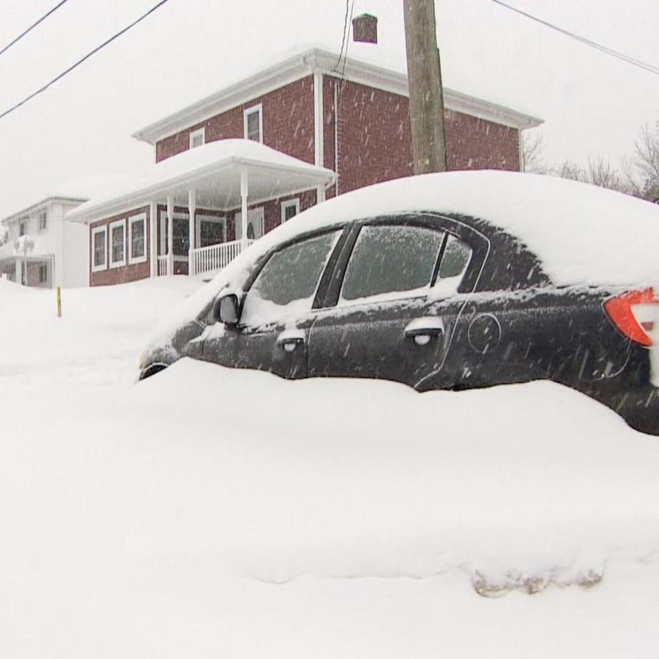 Snowfall warnings are in place for the northern half of New Brunswick, with more central regions expecting a mix or snow and freezing rain. (Yves Levesque/Radio-Canada - image credit)