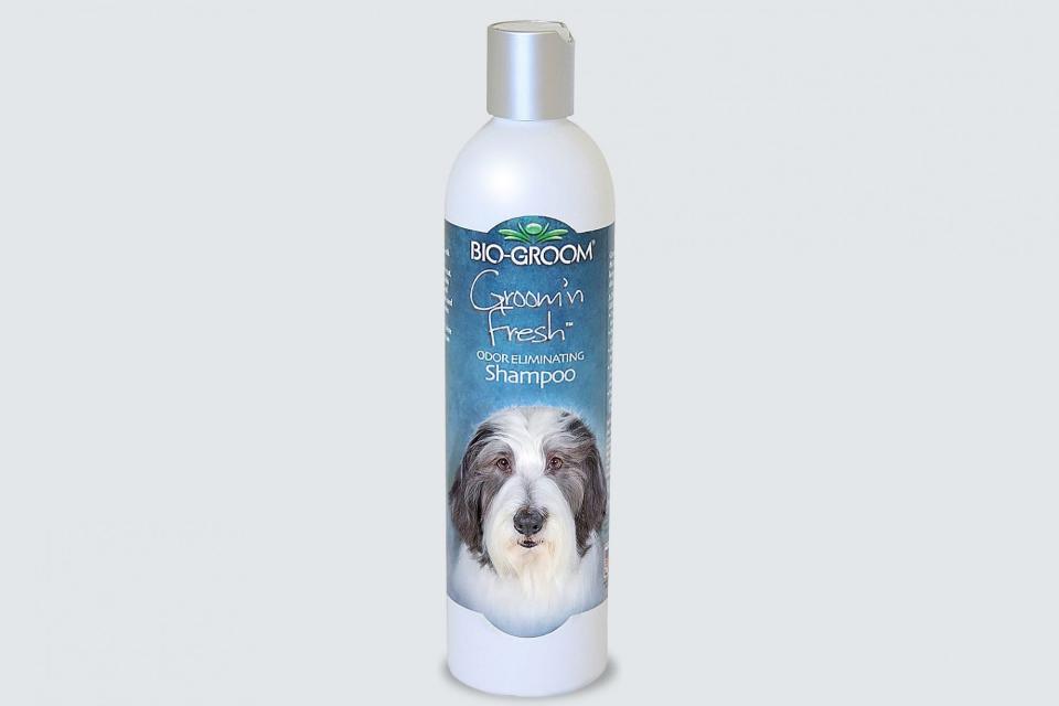 Bio-Groom Groom 'N Fresh Odor Eliminating Dog Shampoo