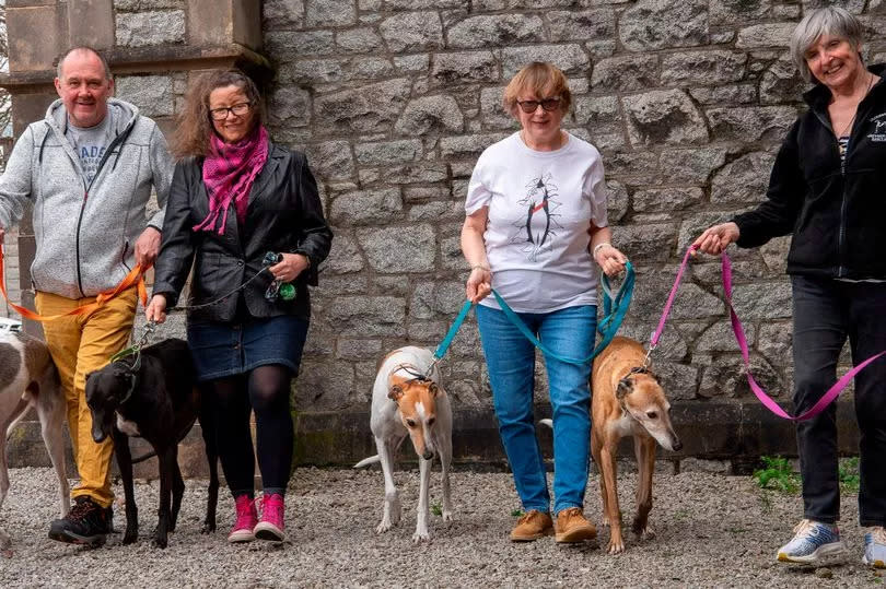 Dogs and owners head for coffee