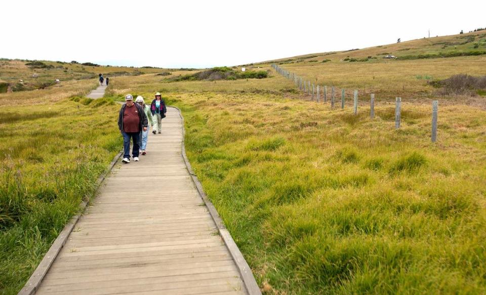 Fiscalini Ranch Preserve will soon have a closed-loop, ADA compliant boardwalk, a 1.6-mile trail along bluff-top and coastal prairie.