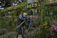 Gardeners work in the Japanese-inspired water garden of Claude Monet's house, French impressionist painter who lived from 1883 to 1926, ahead of the re-opening, in Giverny, west of Paris, Monday May 17, 2021. Lucky visitors who'll be allowed back into Claude Monet's house and gardens for the first time in over six months from Wednesday will be treated to a riot of color, with tulips, peonies, forget-me-nots and an array of other flowers all competing for attention. (AP Photo/Francois Mori)