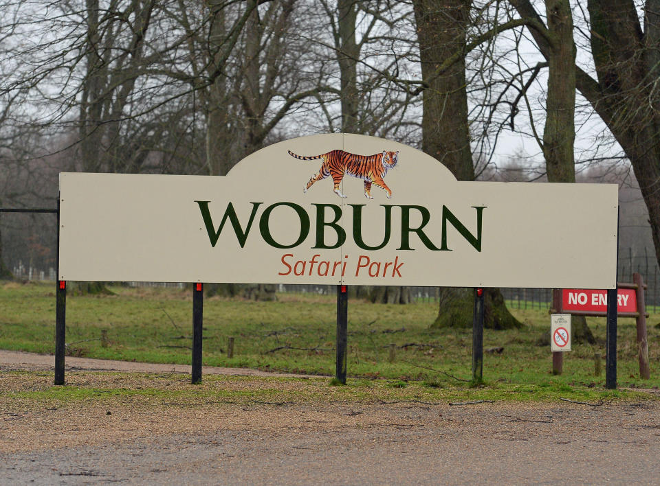 Woburn Safari Park in Bedfordshire (PA)