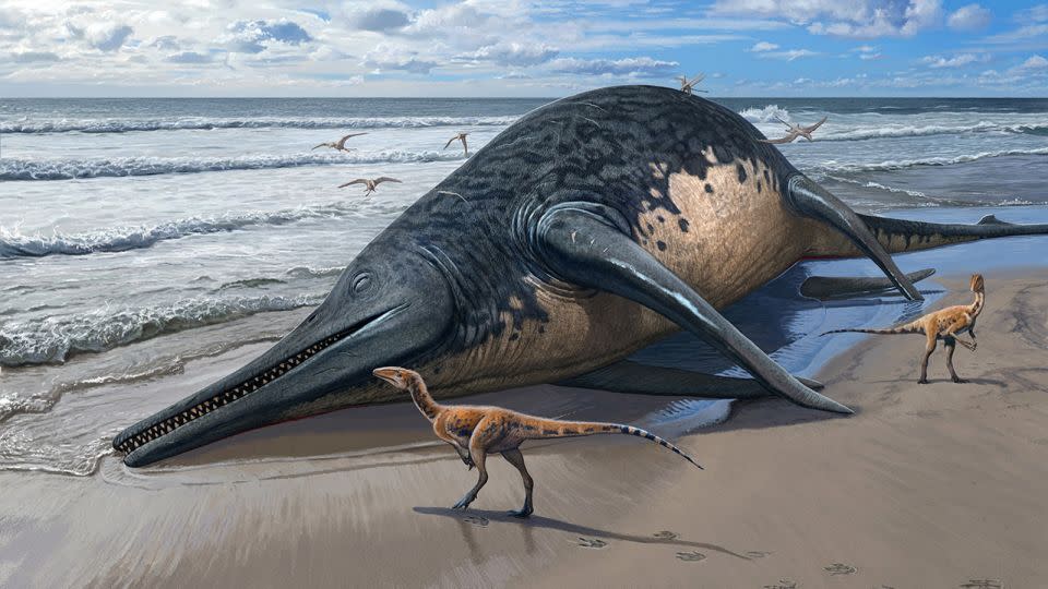 An illustration depicts a washed-up Ichthyotitan severnensis carcass on the beach. - Sergey Krasovskiy
