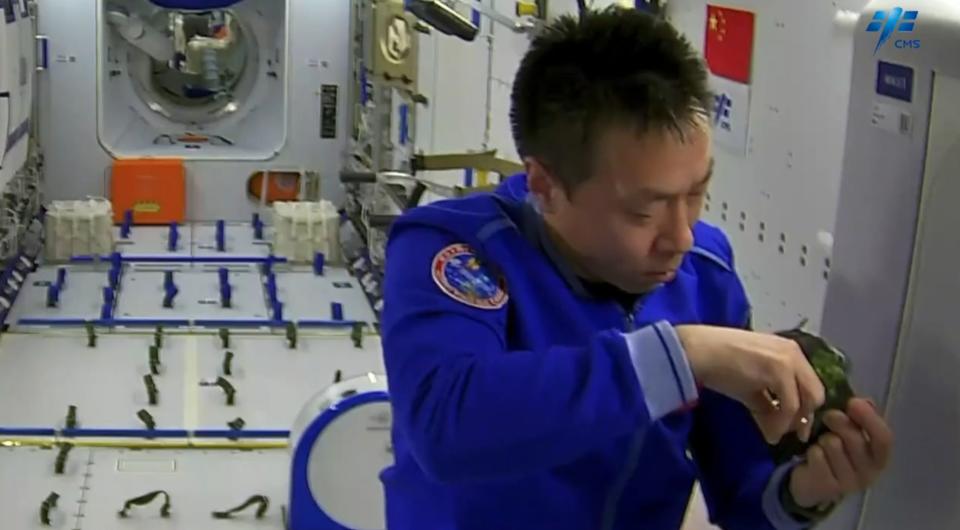 El astronauta chino Chen Dong con uno de los brotes de arroz en la estación espacial Tiangong 3
