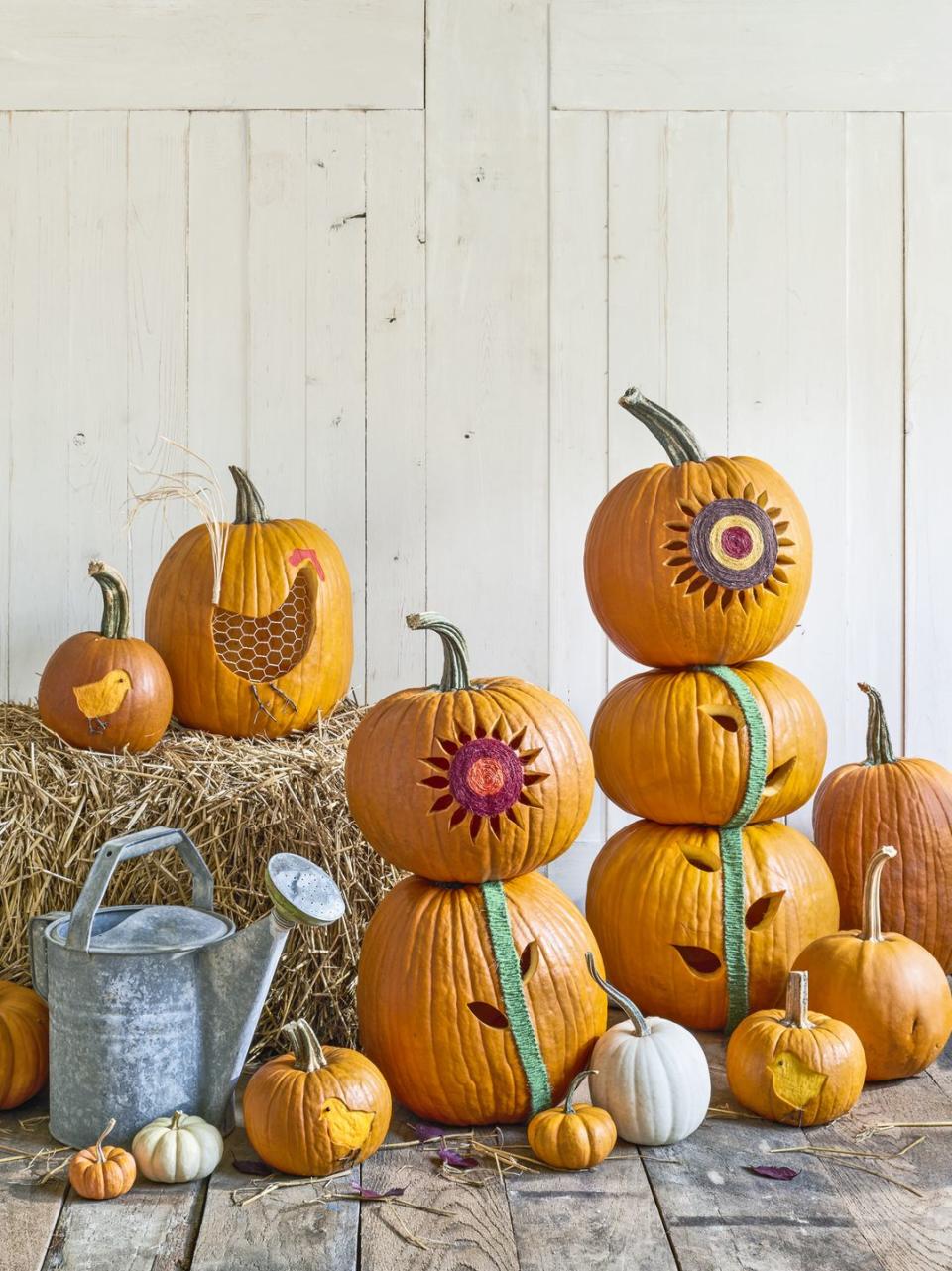 Sunflower Pumpkins