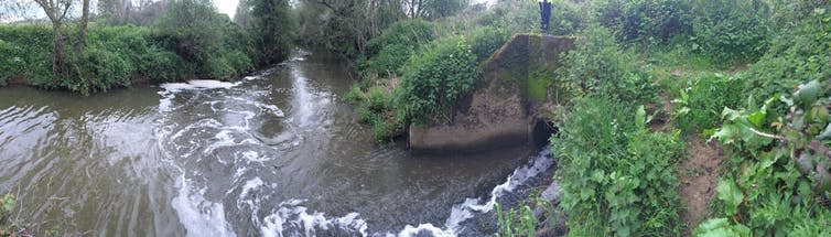 White, foamy water extending from a pipe on a rural river bank.