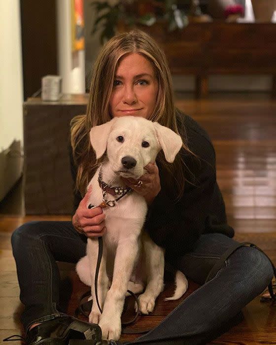 jennifer aniston dog