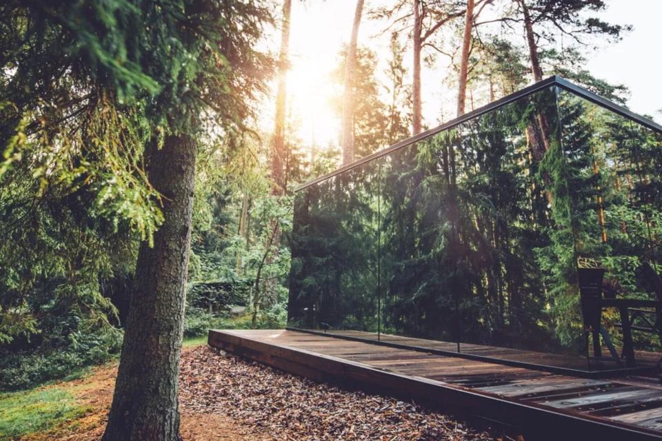 Exterior of the Bolt Farms Invisible Cabins surrounded by trees