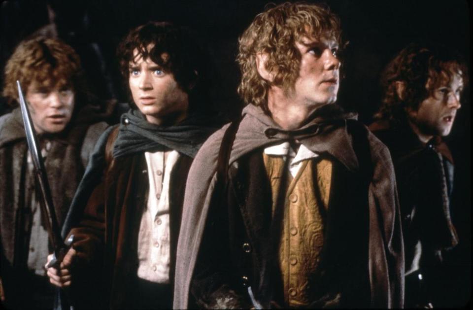 'The Lord of the Rings: The Fellowship of the Ring'<span class="copyright">Warner Bros.</span>