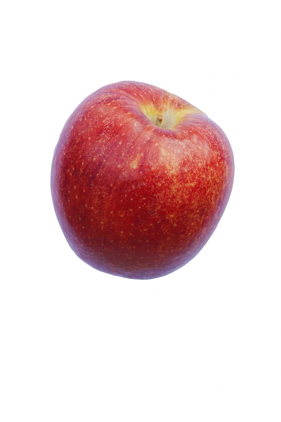 scilate apple