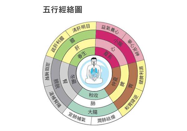 秋天護膚養生不只潤肺！顧好大腸經，改善濕疹問題