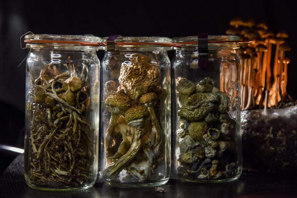 A Push to Legalize Psilocybin Mushrooms (Jahi Chikwendiu / The Washington Post via Getty Images)