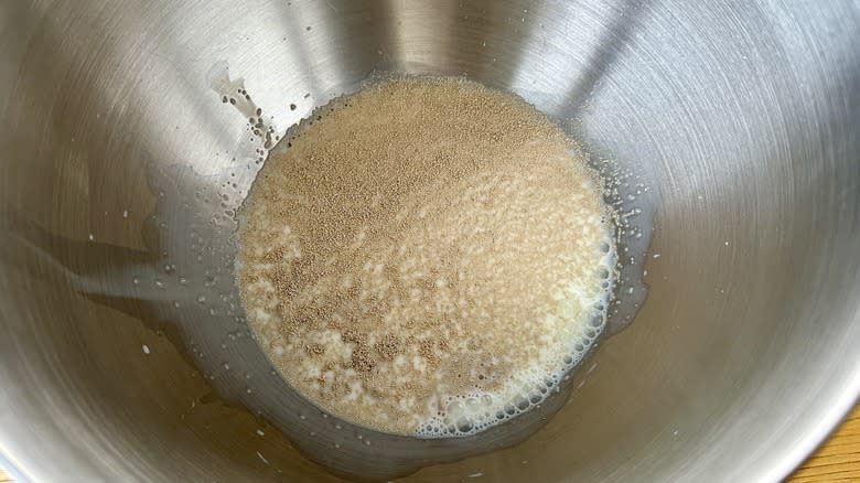 Yeast mixture in a bowl