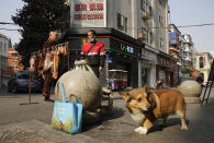 Un comerciante seca la carne al aire, mientras que un perro pasa junto a los productos. (AP Photo/Ng Han Guan)