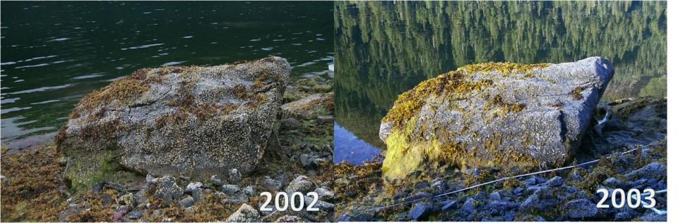 Mearns Rock 2002-2003 | NOAA