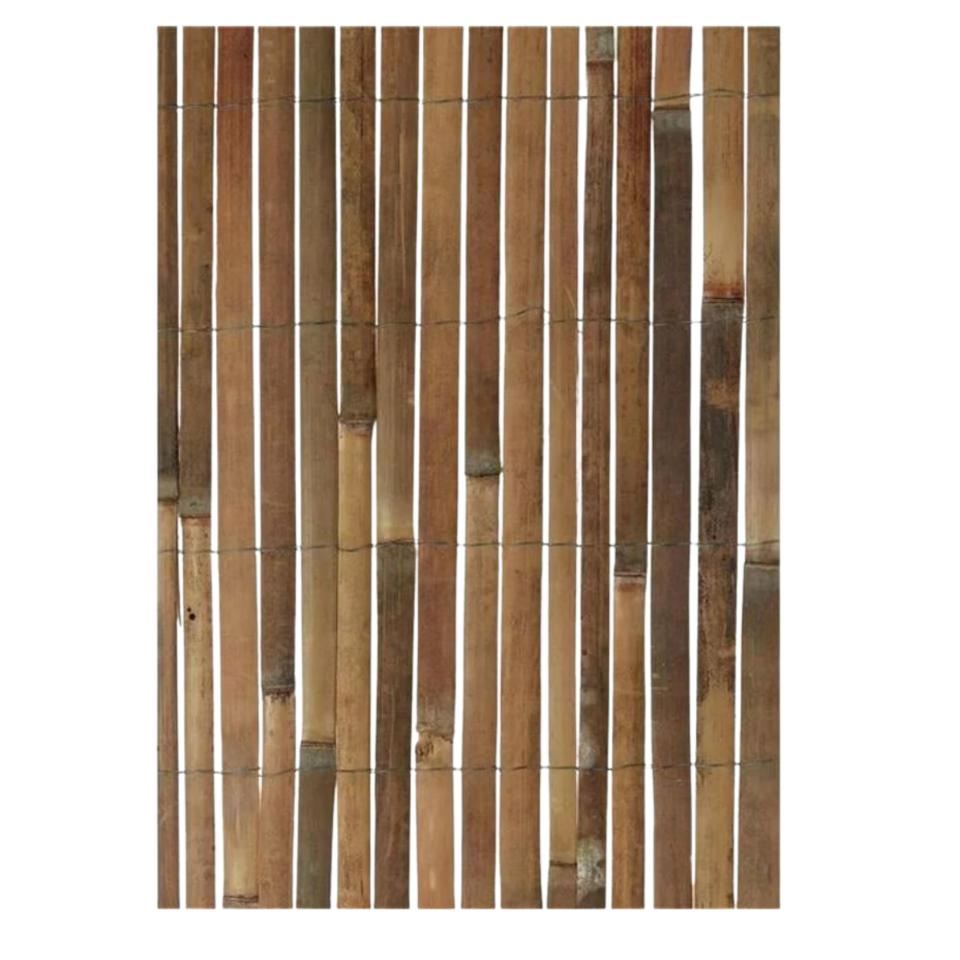 Bamboo fence