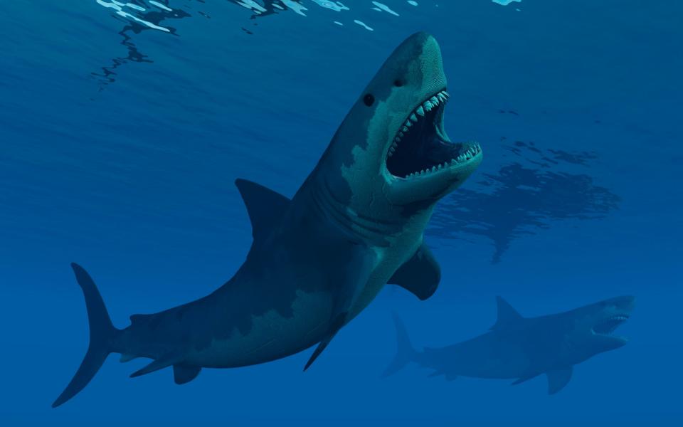 An artist's impression of what a giant megalodon shark would have looked like - Stocktrek Images