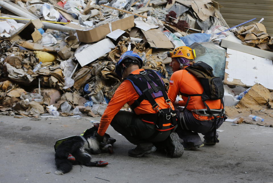 Chilean rescuers pat their rescue dog, after searching in the rubble of a building that was collapsed in last month's massive explosion, after getting signals there may be a survivor under the rubble, in Beirut, Lebanon, Thursday, Sept. 3, 2020. Hopes were raised after the dog of a Chilean search and rescue team touring Gemmayzeh street, one of the hardest-hit in Beirut, ran toward the collapsed building. (AP Photo/Bilal Hussein)