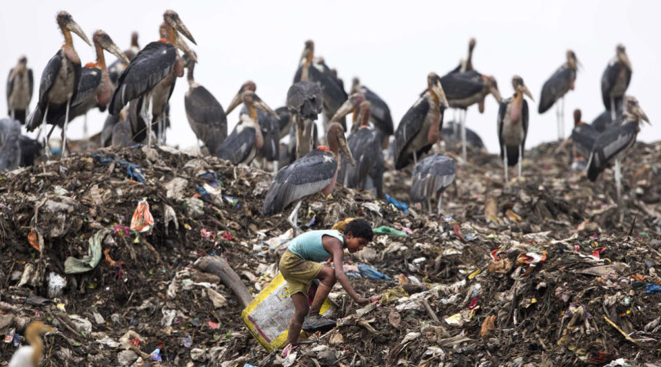 Searching dumpsite 