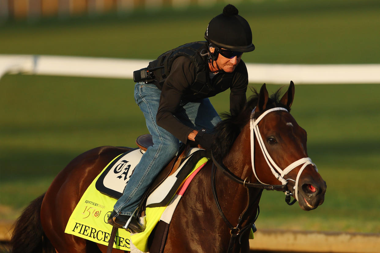 LOUISVILLE, KENTUCKY - MAY 02: Fierceness trains on the track during morning workouts ahead of the 150th running of the Kentucky Derby at Churchill Downs on May 02, 2024 in Louisville, Kentucky.  (Photo by Michael Reaves/Getty Images)