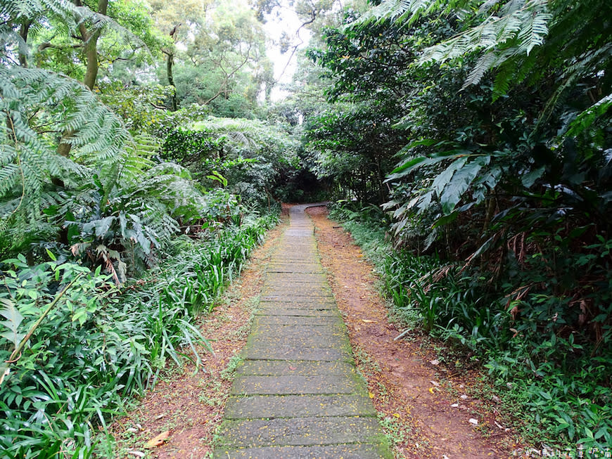 新北土城｜文筆山步道