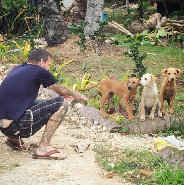 🐶MANGE 🐶 If you have a dog - Tonga Animal Welfare Society