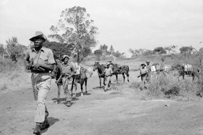 英國王室非洲步槍營的步兵正在偵察茅茅武裝部隊的蹤跡（Wikipedia/Public Domain）