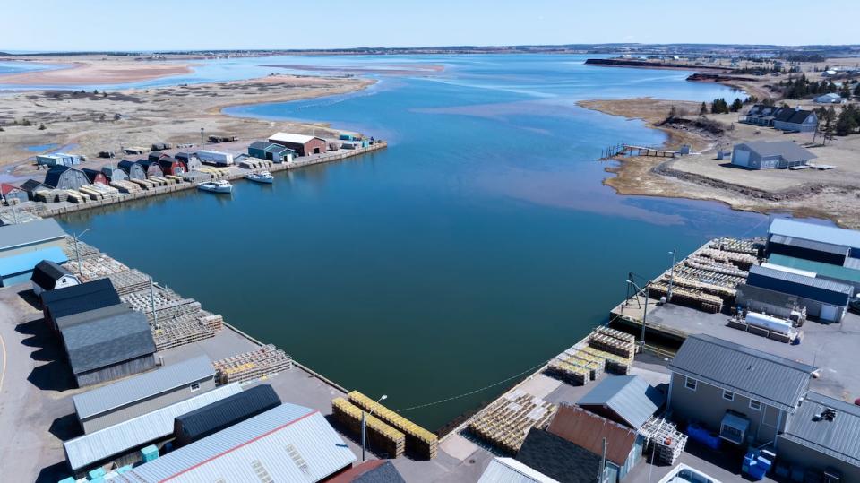 A drone view from the wharf at Malpeque showing the channel where the boats need to travel to go out fishing. 