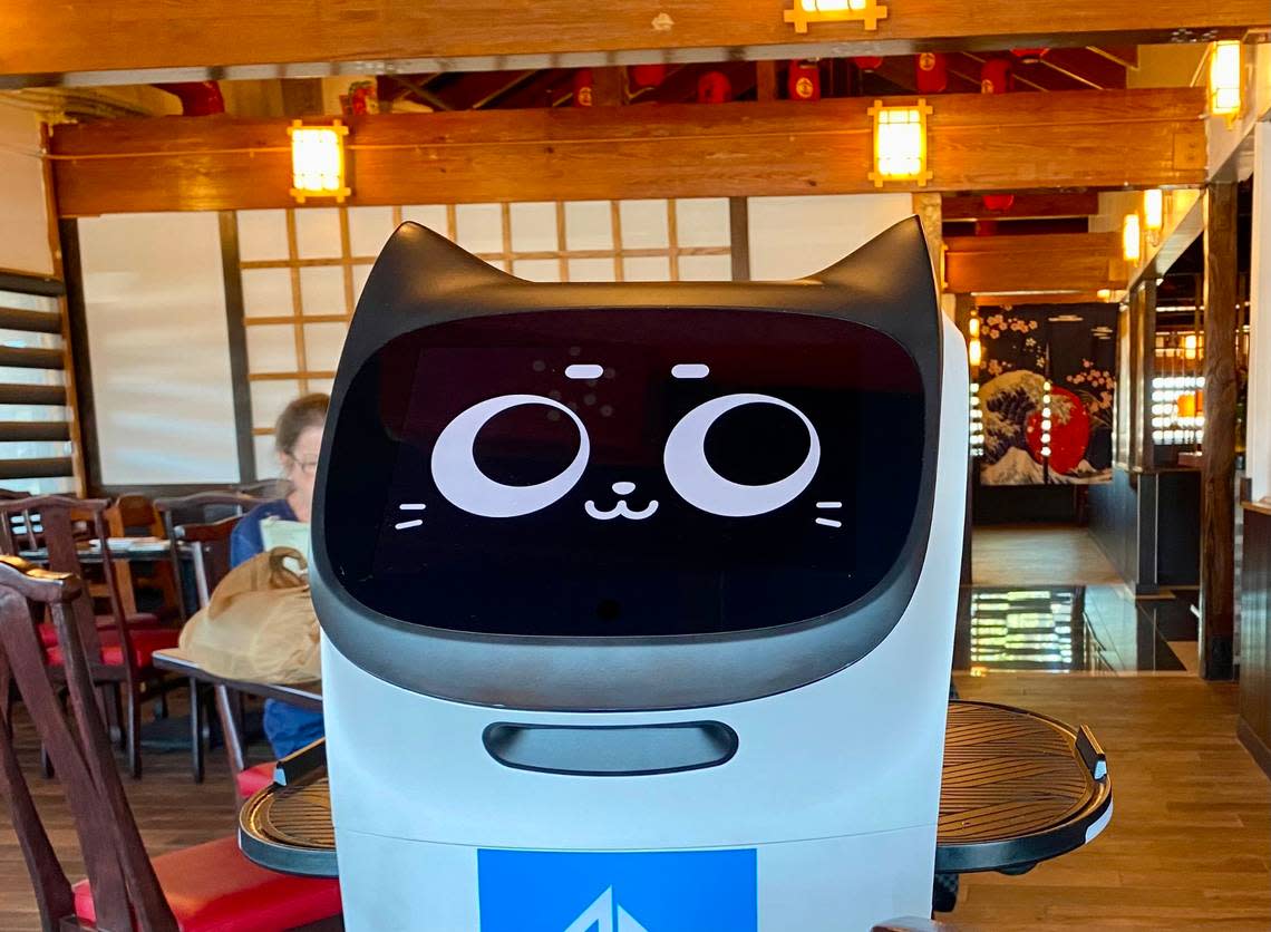 Bella the robot cat delivers orders at Japan House in North Richland Hills.