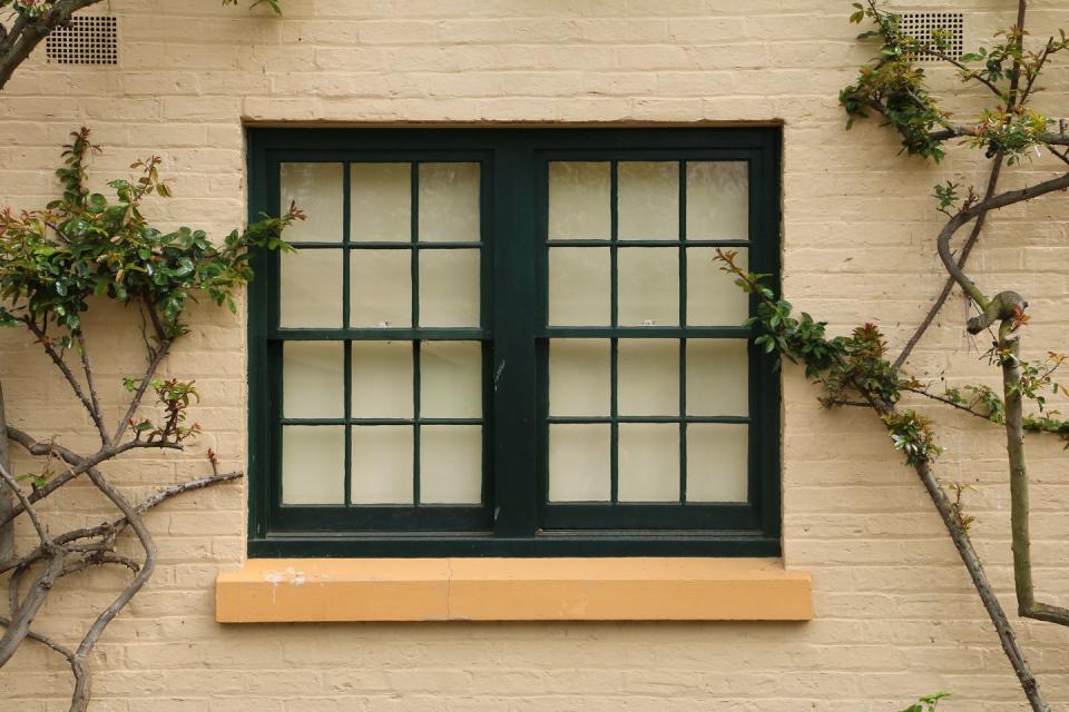 dark framed double window with vines growing around