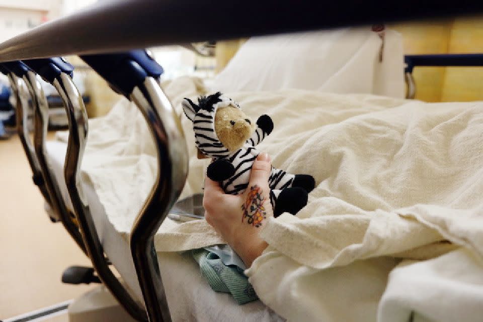 A post-surgery recovery gift. Medical students are often trained to "think horses, not zebras" when looking for the cause of a patient's symptoms. But some of us <i>are </i>zebras. (Ace Ratcliff)