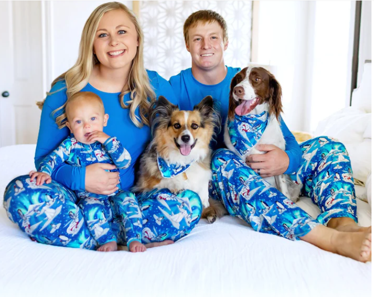 Freebirdees blue arctic themed family pajama