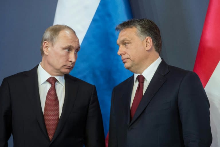 On a visit to Hungary in February, Russian President Vladimir Putin (pictured, L, with Prime Minister Viktor Orban) lauded the country's nuclear project