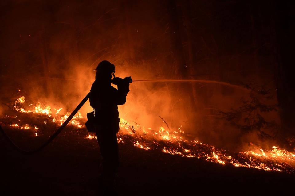 Wildfires force evacuations in Northern California