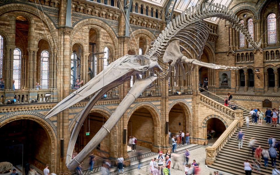 Natural History Museum