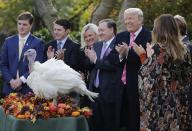 <p>President Donald Trump participates in the 70th National Thanksgiving turkey pardoning ceremony in the Rose Garden of the White House in Washington, Nov. 21, 2017. (Photo: Carlos Barria/Reuters) </p>