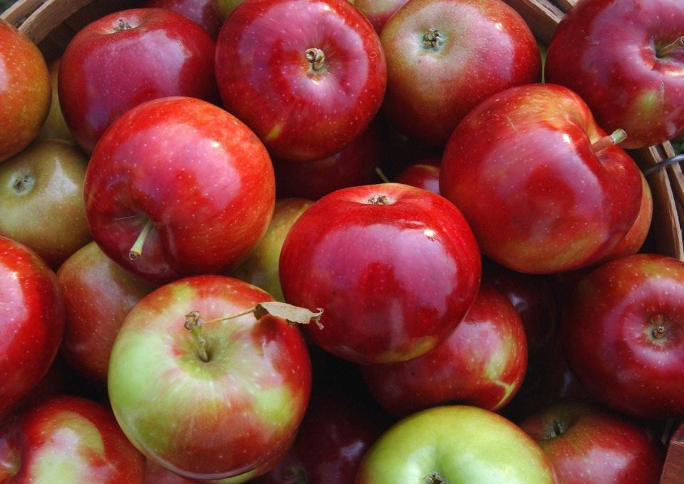 A bushel of Michigan apples.